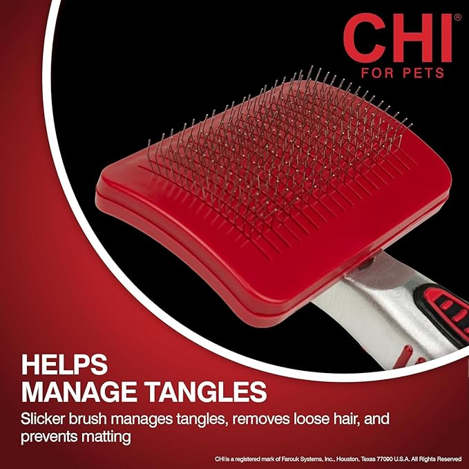 CHI for Dogs Self Cleaning Slicker Brush with Pivoting Head, Small Dog Grooming Brush for Detangling and Removing Loose Hair, Fine Wire Pins for Small Breed Dog Coats, Ergonomic Handle - 3 Pack