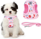 KOOLTAIL Dog Harness and Leash Set for Small Medium Dogs, Step in No Pull Soft Mesh Dog Harness Comfort Padded Pet Vest, Adjustable Reflective Easy Walking Puppy Cats Harness Training, Watermelon XS