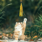 Andiker 7Pcs Cat Wand Toy, Cat Toy Set with 1 Long Steel Wand, 1 Double Headed Hook & 5 Crinkle Teaser Refills Stimulate Hunting Instincts Interactive Cat Toys for Indoor Cats and Kittens (Thick)