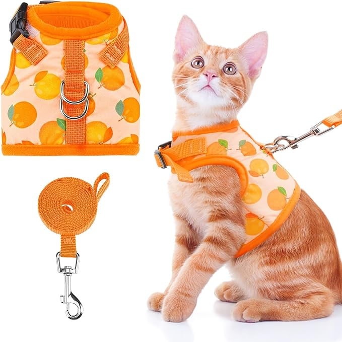 BINGPET Cat Harness with Leash Escape Proof - Fashionable Mesh Cat Dog Walking Harness Leads, Adjustable for Kitties Puppies Small Animals,Orange,M