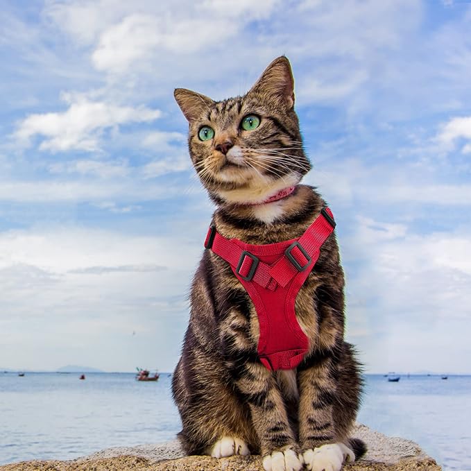 AIWAI Tactical Cat Harness for Walking Escape Proof, Adjustable Pet Vest Harness, Soft Mesh with Control Handle for Large Cat Small Dog, Gift with Patch