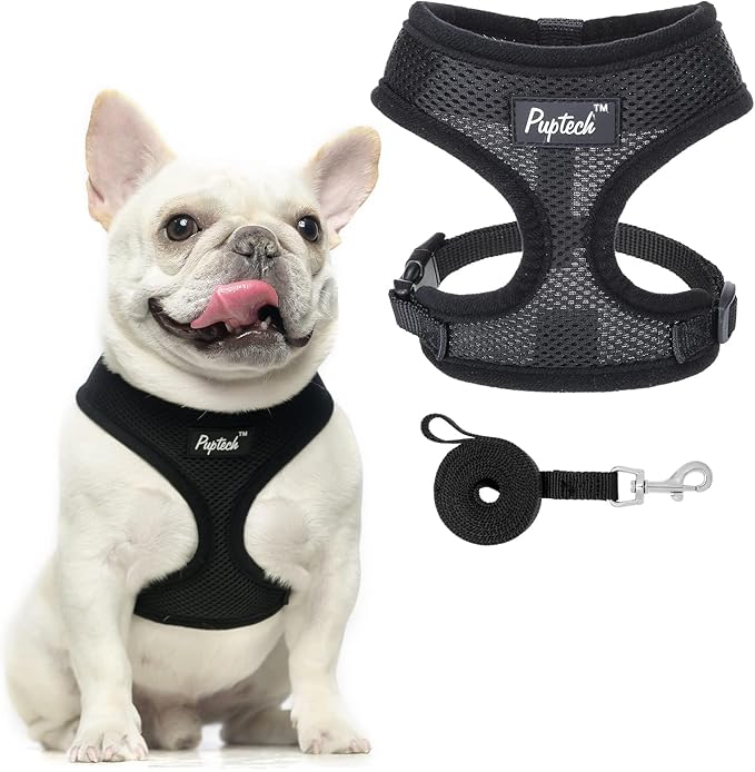 PUPTECK Soft Mesh Dog Harness and Leash Set Pet Puppy Cat Comfort Padded Vest No Pull Harnesses, Solid Black, L