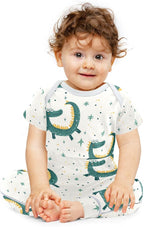 Baby Clothes Set Infant Bodysuits Pants Sets 0-24M For Boys Girls
