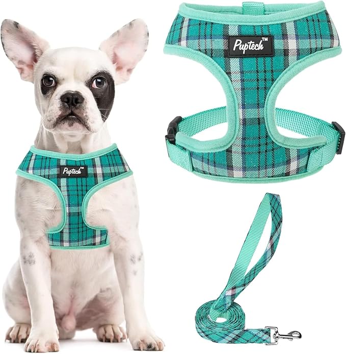 PUPTECK Soft Mesh Dog Harness and Leash Set Pet Puppy Cat Comfort Padded Vest No Pull Harnesses, Green, L