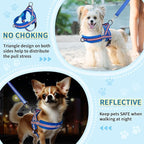SlowTon No Pull Small Dog Harness and Leash Set, Puppy Soft Vest Harness Neck & Chest Adjustable, Reflective Lightweight Harness & Anti-Twist Pet Lead Combo for Small Medium Dogs (DB-Front Clip, XXS)