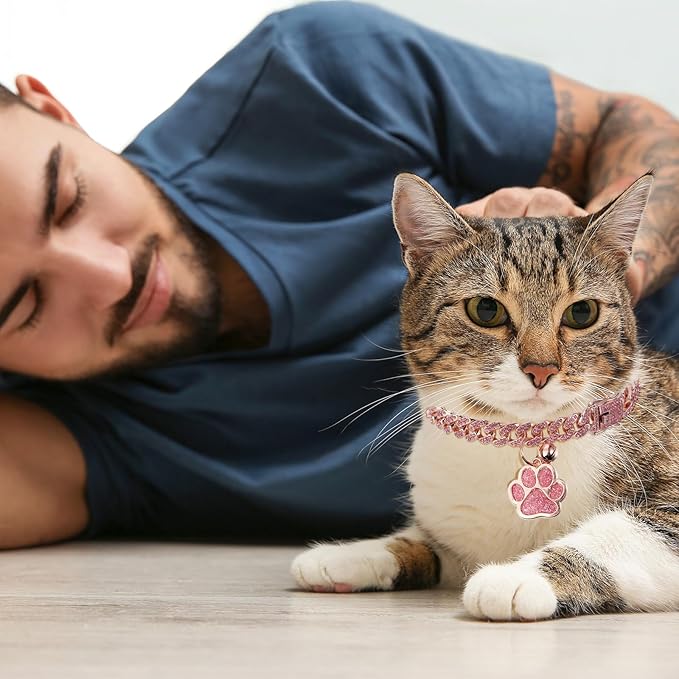 Hillban Cat Collar Diamond Chain Glitter Collar Walking Metal with Secure Buckle Cat Pet Necklace with Paw Charm and ID Tag Bell Link Cuban Jewelry Accessories Gift(10 Inch,Rose Gold, Pink)