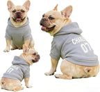 Custom Name Dog Hoodie, Personalized Pet Name Sweatshirt for Small Medium Large Dogs, Custom Dogs Winter Outfits