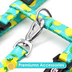 azuza Cat Harness and Leash Set for Safe Walking and Travel, Escape Proof Cat Harness, Lightweight Soft and Comfortable, Adjustable Kitten Harness for Small Medium Large Cats, Lemon