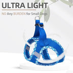 PUPTECK Dog Harness and Leash Set for Small Medium Dogs No Pull Step-in Soft Mesh Puppy Cat Vest Harnesses Reflective at Night, Blue L