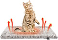 Self Heating Cat Pad Self Warming Cat Bed 22" x 17" Thermal Mat Extra Warm Pet Mat for Outdoor and Indoor Large Kittens Small Puppy Pets