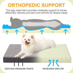 KSIIA Orthopedic Crate Bed: Deluxe Plush Washable Dog Bed for Small Dogs with Egg Crate Foam & Removable Cover, 23 x 17 Inch, Dark Gray