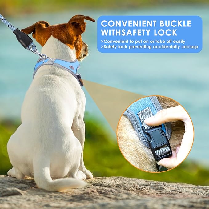 Dog Harness and Leash Set, No Pull Saddle Style Pet Harness, Breathable Mesh Adjustable Reflective Dog Vest for Dogs and Cat Medium Small Harness 2 D-Rings (Blue, M)