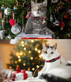 Cat Collar,2 Pack Cat Collars Breakaway with Bell, DOGWONG Safety Buckle Red Christmas Plaid Cat Collar for Girl Boy Cats and Small Dogs，Adjustable 7-12 Inch,Pet Supplies Accessories