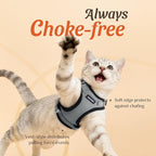 Dooradar Cat Harness and Leash Set, Escape Proof Safe Adjustable Kitten Vest Harnesses for Walking, Easy Control Soft Breathable Mesh Jacket with Reflective Strips for Cats, Grey, XXS