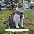 Lucy & Co. Take a Hike Step-in Cat Harness & Leash Bundle – Reflective, Breathable & Adjustable Harness for Cats, Kittens & Small Dogs, Lightweight & Secure and Dual Leash Clips – Large
