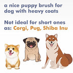 Pet Vacuum Grooming Comb Brush Hair Remover Shedding Deshedding Attachment Tool Kit for Dogs and Cats (black)