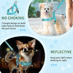 SlowTon No Pull Small Dog Harness and Leash Set, Puppy Soft Vest Harness Neck & Chest Adjustable, Reflective Lightweight Harness & Anti-Twist Pet Lead Combo for Small Medium Dogs(BL-Front Clip,S)