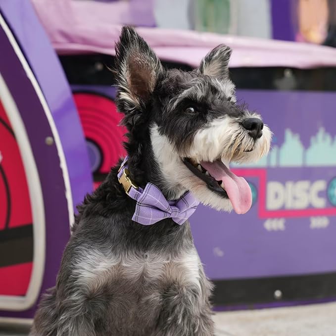 Beirui Cute Small Dog Harness Collar and Leash Set with Bowtie, Soft Adjustable Plaid Puppy Harness for Small Sized Dogs Cats Walks Parties and Photoshoots(Purple,S:Chest 17-23")