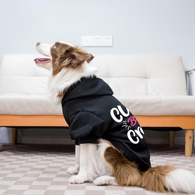 EXPAWLORER Valentine's Day Dog Hoodie-Soft and Warm Dog Sweaters, Pet Clothes Autumn Winter Coat Sweatshirt with Print for Puppy,Cat, Small Medium Large Dogs,Black S-Medium