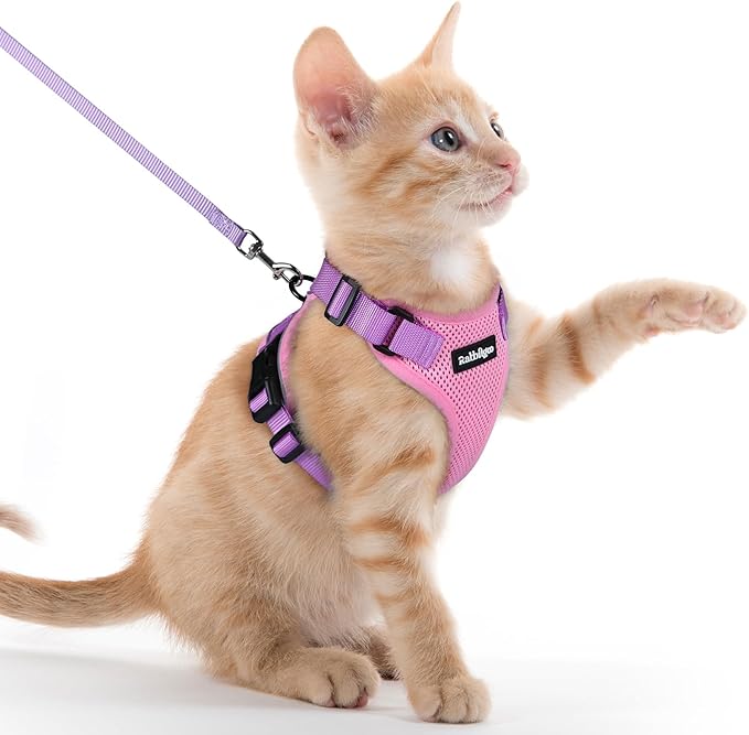 rabbitgoo Cat Harness and Leash for Walking, Escape Proof Soft Adjustable Vest Harnesses for Cats, Easy Control Breathable Reflective Strips Jacket, Pink & Purple, XXS