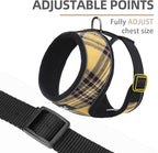 PUPTECK Soft Mesh Dog Harness and Leash Set Pet Puppy Cat Comfort Padded Vest No Pull Harnesses, Yellow, L