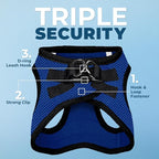 Best Pet Supplies Voyager Step-in Air All Weather Mesh Harness and Reflective Dog 5 ft Leash Combo with Neoprene Handle, for Small, Medium and Large Breed Puppies - Royal Blue/Black Trim, Medium