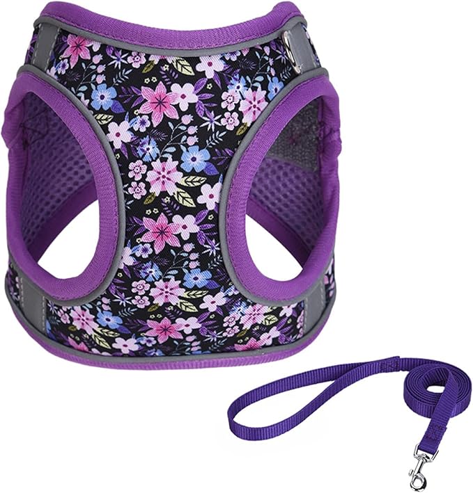 Step in Dog Harness No Pull Flower Adjustable Soft Mesh Padded Reflective Pet Vest Harness and Leash Set for Small Medium Dogs