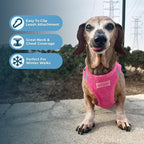 Best Pet Supplies - All Weather Plush, Reflective, No Pull Harness for Small, Medium Dogs, Cats - Secure with Hook & Loop Fastener, Buckle, Double D-Rings - Fuchsia Corduroy, M