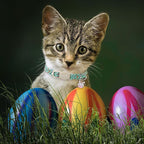 Lionet Paws 2pcs Pack Easter Cotton Cat Collar,Breakaway Buckle with Rabbit and Colorful Eggs Cute Adjustable Green Cat Kitten Collar,Ideal for Girl Cats Boy Cats