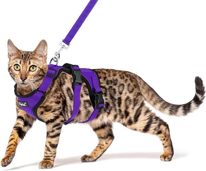 PUPTECK Cat Harness and Leash Set Escape Proof for Walking, Breathable Mash Vest Adjustable Harness for Cats Puppy Small Animals, Reflective at Night, Purple Medium
