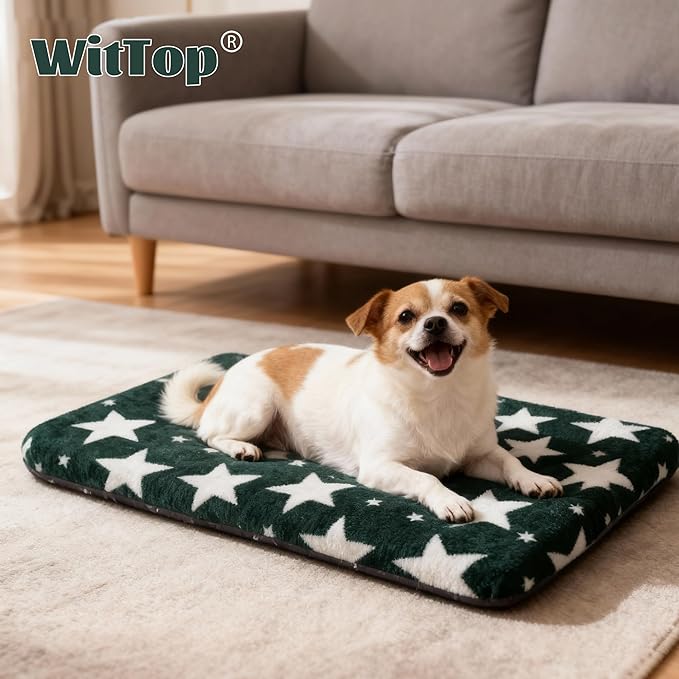 Washable Dog Bed Plush Orthopedic Outdoor Crate Mat with Non-Slip Bottom,Luxe Soft Kennel Pad for Pets, Cozy Cage Cushion & Pet Sleeping Mattress Large Sized,Medium,Small Dogs,30x20 inch,Green