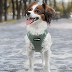Best Pet Supplies - All Weather Mesh/Plush, Reflective, No Pull Harness for Small, Medium Dogs, Cats - Secure with Hook & Loop Fastener, Buckle, Double D-Rings - Moss Green, M