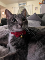 Soft Corduroy Cat Collar with Bell and Bowtie, Safety Breakaway Clasp, Adjustable for Kitten and Cats Red Color.