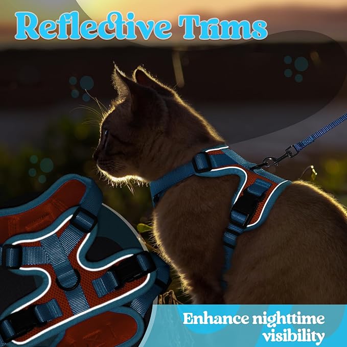 rabbitgoo Cat Harness and Leash Set, Escape Proof Soft Adjustable Vest Harnesses for Outdoor Walking, Easy Control Breathable Kitten Jacket with Reflective Strips, Orange & Light Blue, XXS