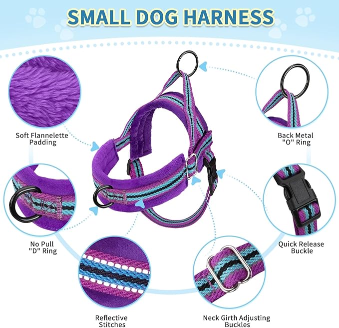 SlowTon No Pull Small Dog Harness and Leash Set, Puppy Soft Vest Harness Neck & Chest Adjustable, Reflective Lightweight Harness & Anti-Twist Pet Lead Combo for Small Medium Dogs (PU-Front Clip, XS)
