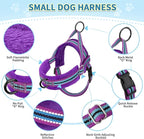 SlowTon No Pull Small Dog Harness and Leash Set, Puppy Soft Vest Harness Neck & Chest Adjustable, Reflective Lightweight Harness & Anti-Twist Pet Lead Combo for Small Medium Dogs (PU-Front Clip, XS)