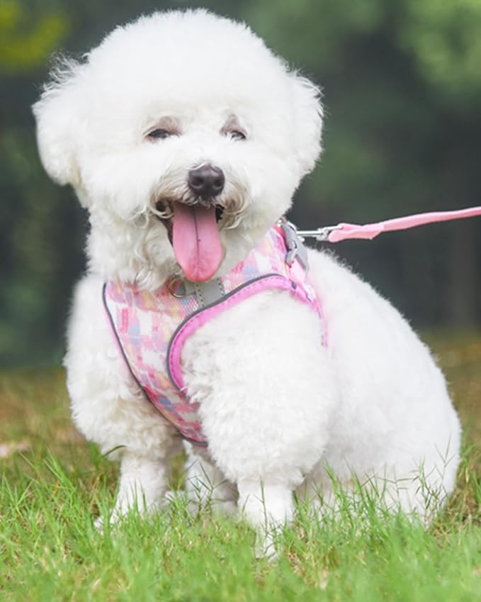Dog Harness for Small Medium Dogs No Pull, Cat Harness and Leash Set, Step in Puppy Harness. (Pink, L)