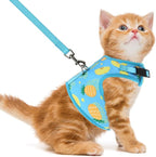 PUPTECK Soft Mesh Cat Vest Harness and Leash Set Puppy Padded Pet Harnesses Escape Proof for Cats Small Dogs Rabbits Bunny