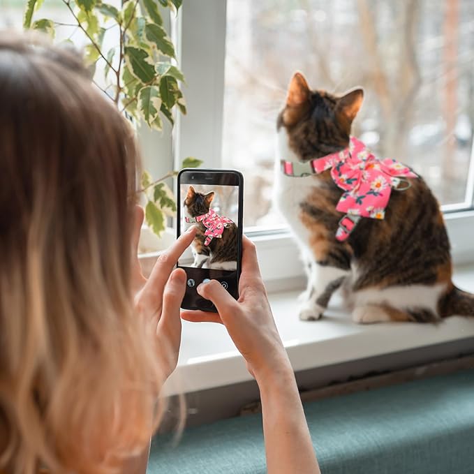 PAWCHIE Cat Harness and Leash Set with Bow Knot,Cats Escape Proof-Adjustable Daisy Floral Kitten Harness Soft Outdoor Walking Travel Pet Harness,Puppy Harness for Girl Cats Bunny Rabbit Small Dog,Pink