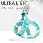 PUPTECK Dog Harness and Leash Set for Small Medium Dogs No Pull Step-in Soft Mesh Puppy Cat Vest Harnesses Reflective at Night, Plaid Pattern Green XS