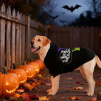 EXPAWLORER Dog Hoodie-Soft and Warm Dog Sweaters, Pet Clothes Autumn Winter Coat Sweatshirt with Halloween Theme Print for Puppy,Cat, Small Medium Large Dogs