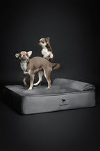 NOAH & PAW Dog Bed, 28x23x7.5 Inch, Orthopedic Dog Beds for Medium Size Pets, Eggshell Memory Foam Infused with Cooling Gel, Waterproof, Machine Washable, Includes Inner Cover (Velvet Collection)