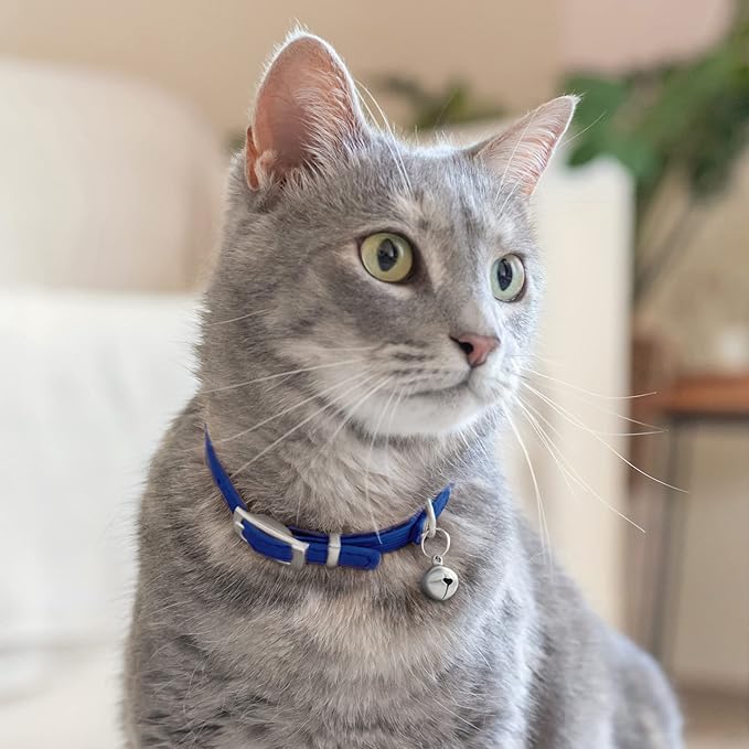 CollarDirect Leather Cat Collar, Kitten Collar with Removable Bell Black Blue Red Orange Lime Green (Neck Fit 8"-11", Navy Blue)