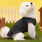 Custom Dog T-Shirts with Name, Breathable Personalized Print or Embroidered Name Numbers, Pet Vest Clothes, Summer Clothing Pullover for Dogs, Puppies, Cats, Kittens (XXL, 8 Colors)