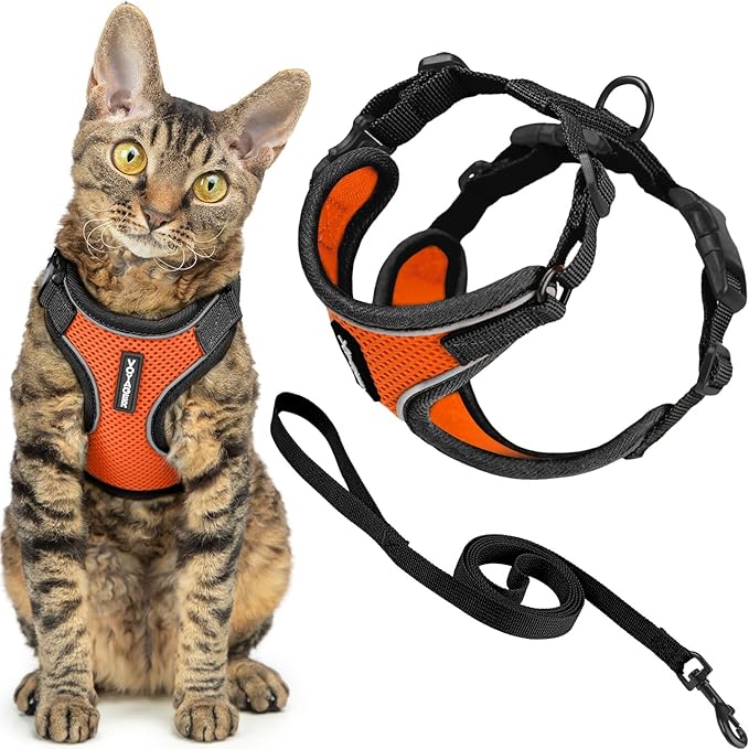 Voyager Escape-Proof Step-in Lock Cat Harness & 5ft Neoprene-Handle Leash Set All-Weather Mesh with Reflective Stitching for Small to Large Cats by Best Pet Supplies, Black Trim-Orange (327), XXS
