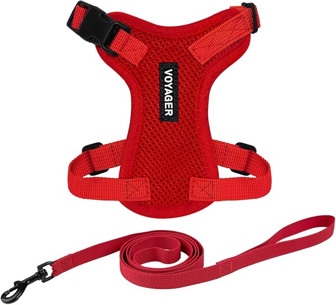 Voyager Escape-Proof Step-in Lock Cat Harness & 5ft Neoprene-Handle Leash Set All-Weather Mesh with Reflective Stitching for Small to Large Cats by Best Pet Supplies, Red, XXS