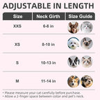 PUPTECK Basic Adjustable Cat Collar with Bling Diamond and Double Bells, for Kitten and Small Puppy, Fashion and Shining Dog Rhinestone Collars, 11-14in, Pink