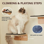 Cat Wall Shelves with 2 Steps, Creative Design Cat Shelf with Peephole, 19 x 10 inch Cats Wall Furniture with Comfortable Pad, Cats Perch for Sleeping, Playing, and Scratching.