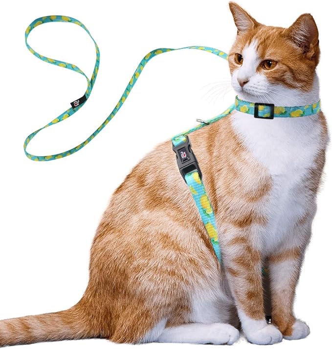azuza Cat Harness and Leash Set for Safe Walking and Travel, Escape Proof Cat Harness, Lightweight Soft and Comfortable, Adjustable Kitten Harness for Small Medium Large Cats, Lemon
