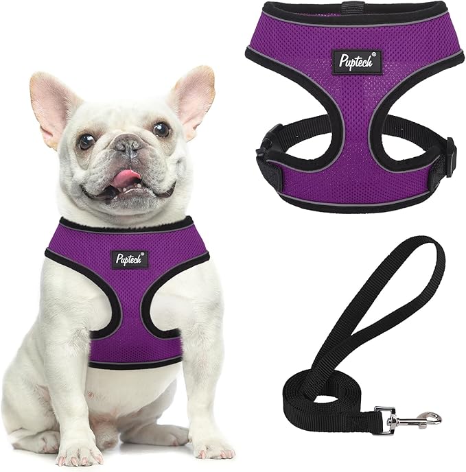 PUPTECK Soft Mesh Dog Harness and Leash Set Pet Puppy Cat Comfort Padded Vest No Pull Harnesses, Solid Purple, M